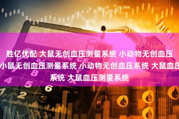 胜亿优配 大鼠无创血压测量系统 小动物无创血压分析系统 小鼠无创血压测量系统 小动物无创血压系统 大鼠血压测量系统